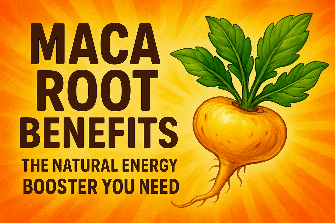 Maca Root Benefits: The Natural Energy Booster You Need