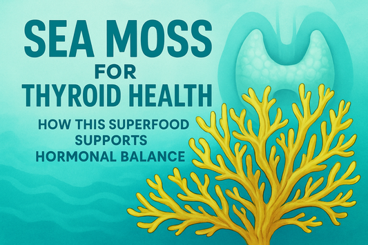 Sea Moss for Thyroid Health: How This Superfood Supports Hormonal Balance