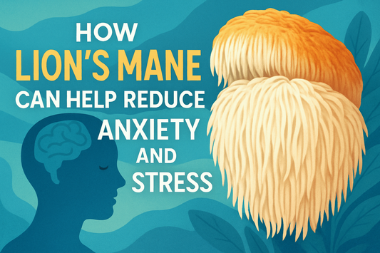 How Lion’s Mane Can Help Reduce Anxiety and Stress