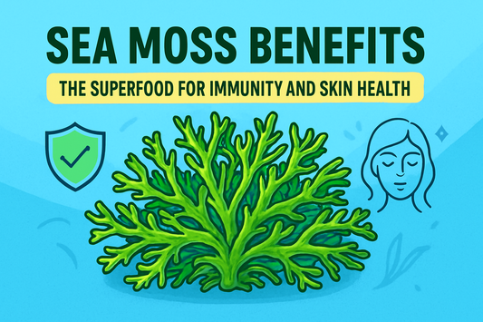 Sea Moss Benefits: The Superfood for Immunity and Skin Health