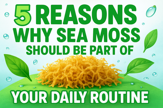 5 Reasons Why Sea Moss Should Be Part of Your Daily Routine