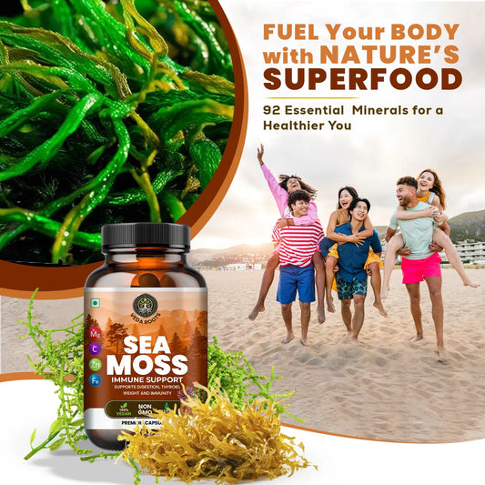 Sea moss supplement bottle with green seaweed and people on a beach background