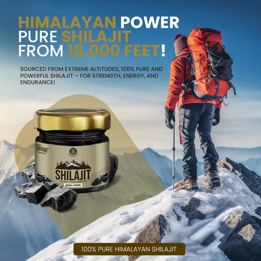 Himalayan Power Shilajit product with a person on a mountain peak