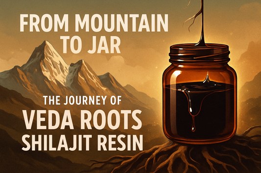 From Mountain to Jar – The Journey of Veda Roots Shilajit Resin
