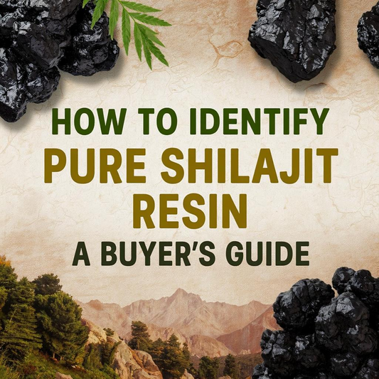 How to Identify Pure Shilajit Resin - A Buyer’s Guide
