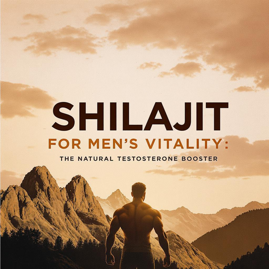 Shilajit for Men’s Vitality - The Natural Testosterone Booster