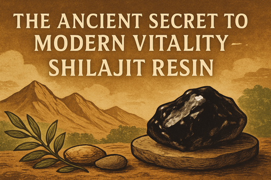 The Ancient Secret to Modern Vitality — Shilajit Resin