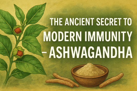 The Ancient Secret to Modern Immunity – Ashwagandha