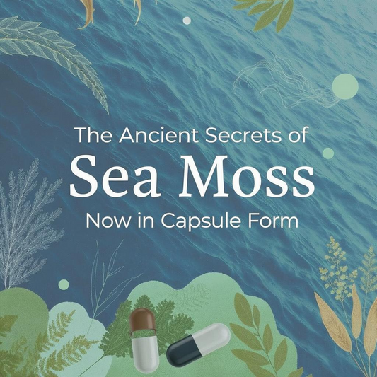 The Ancient Secrets of Sea Moss Now in Capsule Form