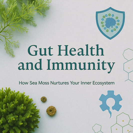 Gut Health and Immunity – How Sea Moss Nurtures Your Inner Ecosystem