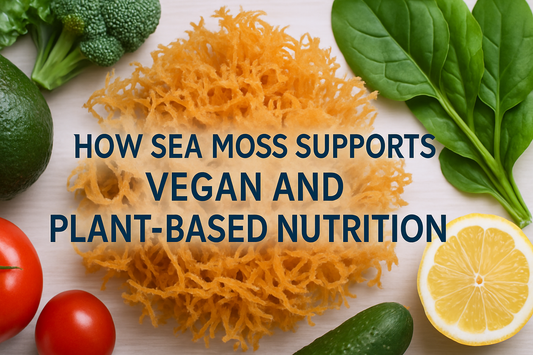 How Sea Moss Supports Vegan and Plant-Based Nutrition