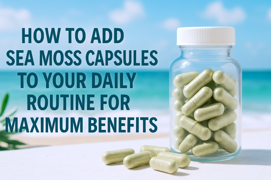 How to Add Sea Moss Capsules to Your Daily Routine for Maximum Benefits