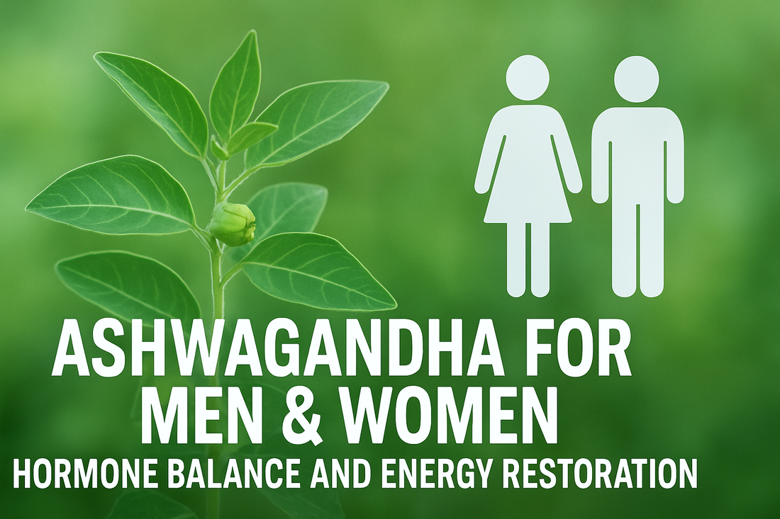 Ashwagandha for Men & Women - Hormone Balance and Energy Restoration