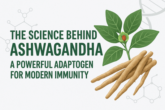 The Science Behind Ashwagandha - A Powerful Adaptogen for Modern Immunity