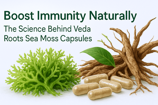 Boost Immunity Naturally – The Science Behind Veda Roots Sea Moss Capsules