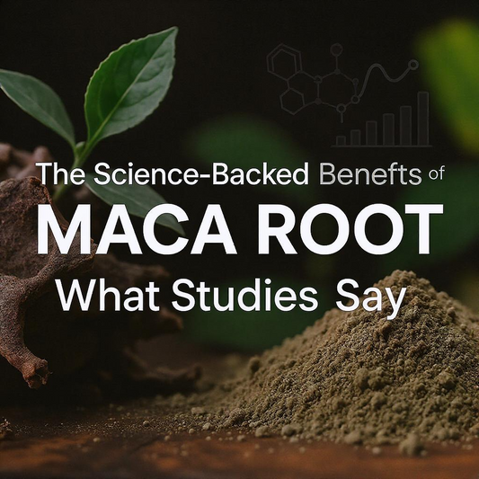 The Science-Backed Benefits of Maca Root – What Studies Say