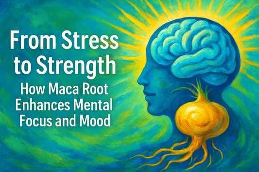 From Stress to Strength: How Maca Root Enhances Mental Focus and Mood
