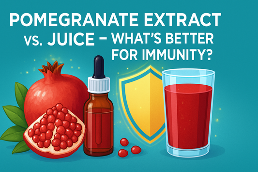 Pomegranate Extract vs. Juice – What’s Better for Immunity?