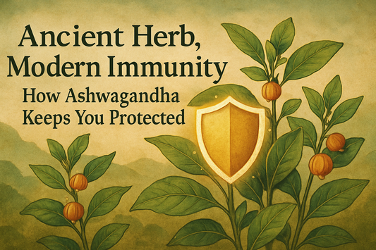 Ancient Herb, Modern Immunity – How Ashwagandha Keeps You Protected