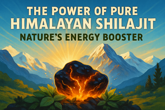 The Power of Pure Himalayan Shilajit – Nature’s Energy Booster