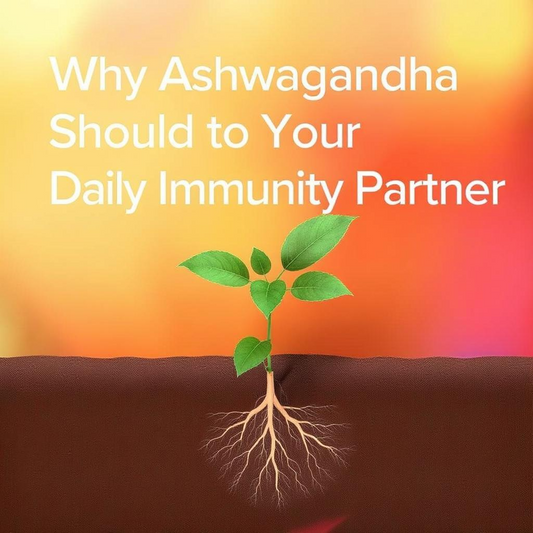 Why Ashwagandha Should Be Your Daily Immunity Partner