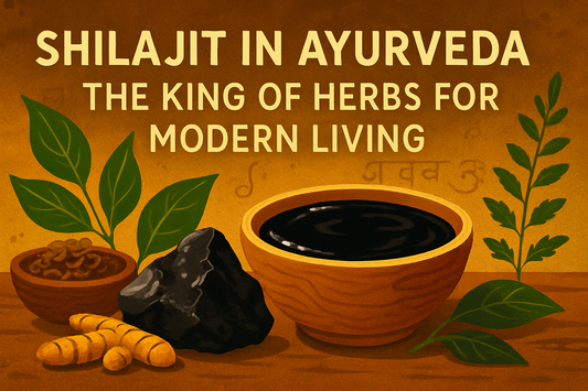 Shilajit in Ayurveda: The King of Herbs for Modern Living
