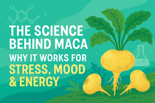The Science Behind Maca – Why It Works for Stress, Mood & Energy