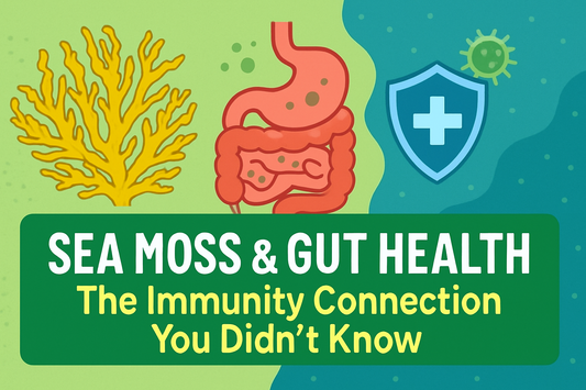 Sea Moss & Gut Health – The Immunity Connection You Didn’t Know