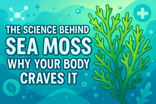The Science Behind Sea Moss: Why Your Body Craves It