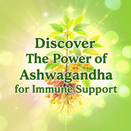 Discover the Power of Ashwagandha for Immune Support