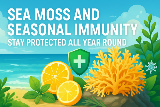Sea Moss and Seasonal Immunity – Stay Protected All Year Round
