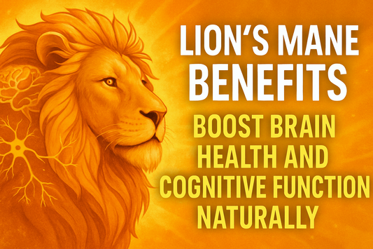 Lion’s Mane Benefits: Boost Brain Health and Cognitive Function Naturally
