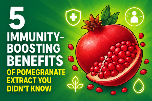 5 Immunity-Boosting Benefits of Pomegranate Extract You Didn’t Know