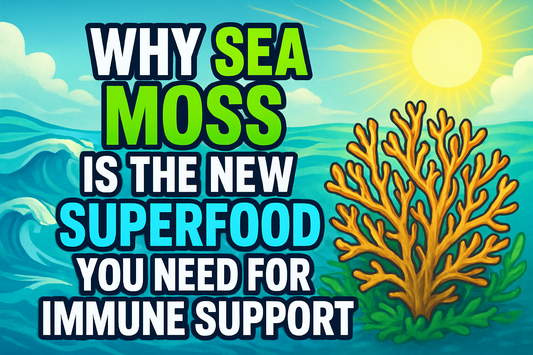 Why Sea Moss is the New Superfood You Need for Immune Support