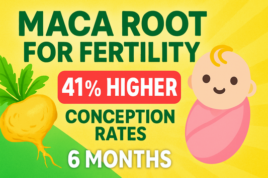 Maca Root for Fertility: 41% Higher Conception Rates in 6 Months