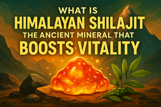 What Is Himalayan Shilajit? The Ancient Mineral That Boosts Vitality