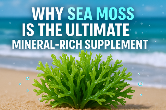 Why Sea Moss is the Ultimate Mineral-Rich Supplement