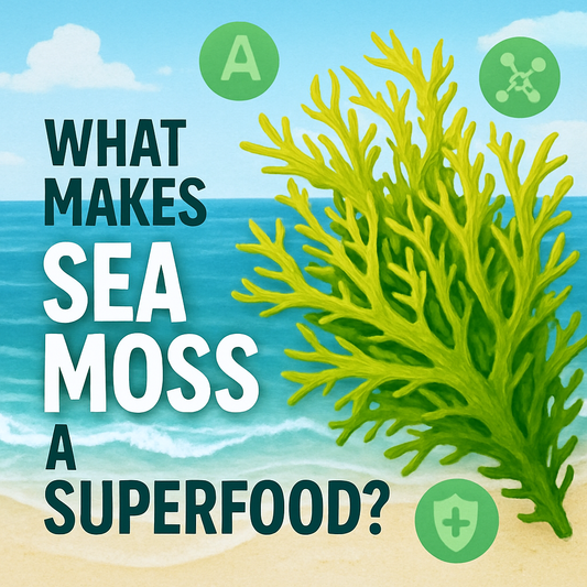 What Makes Sea Moss a Superfood?