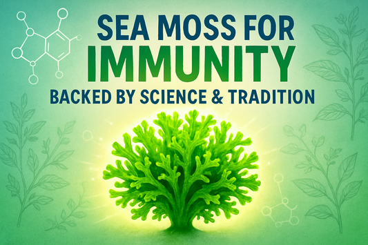 Sea Moss for Immunity – Backed by Science & Tradition