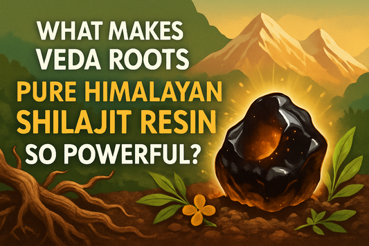 What Makes Veda Roots Pure Himalayan Shilajit Resin So Powerful?