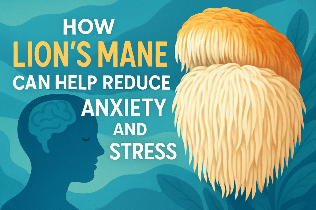 How Lion’s Mane Can Help Reduce Anxiety and Stress