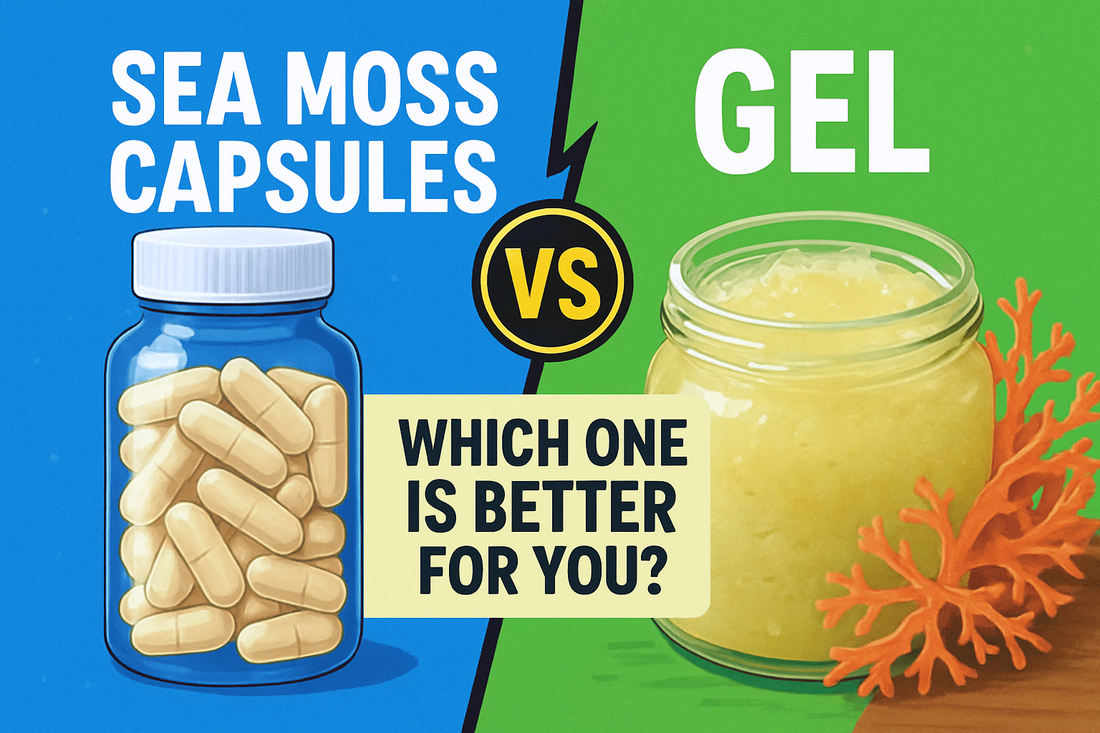 Sea Moss Capsules vs Gel – Which One Is Better for You?