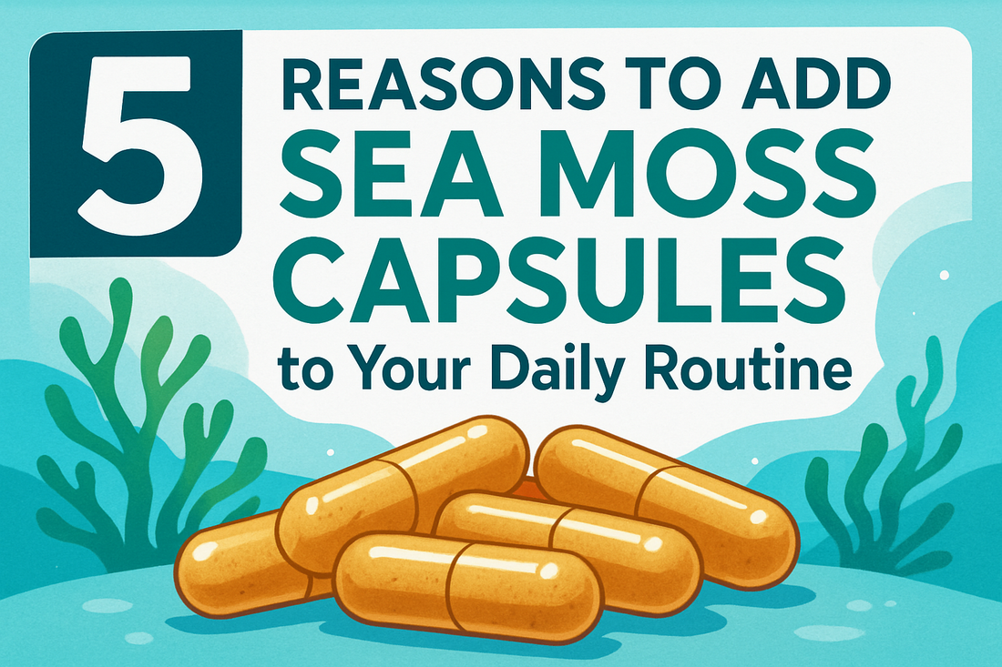 5 Reasons to Add Sea Moss Capsules to Your Daily Routine