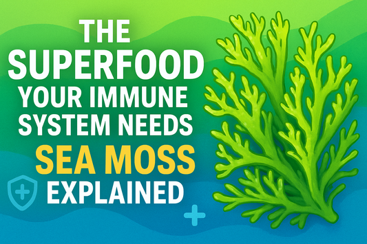 The Superfood Your Immune System Needs — Sea Moss Explained