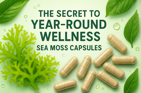 The Secret to Year-Round Wellness – Sea Moss Capsules