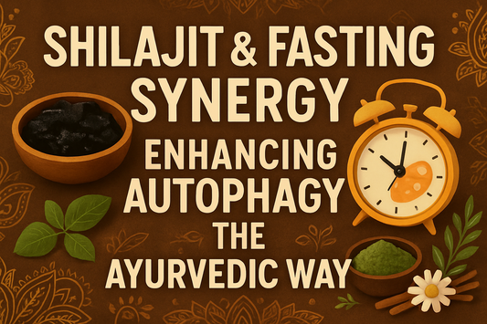 Shilajit & Fasting Synergy: Enhancing Autophagy the Ayurvedic Way