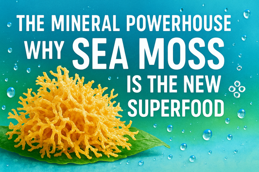 The Mineral Powerhouse – Why Sea Moss Is the New Superfood