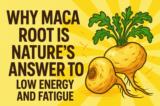 Why Maca Root Is Nature’s Answer to Low Energy and Fatigue