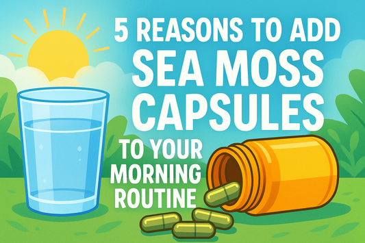 5 Reasons to Add Sea Moss Capsules to Your Morning Routine