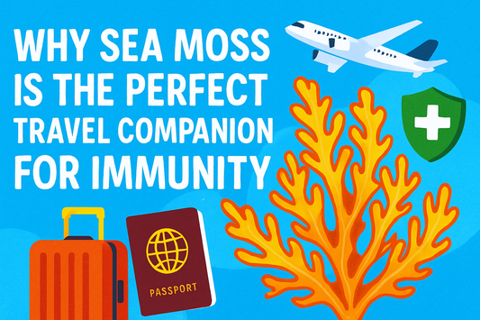 Why Sea Moss Is the Perfect Travel Companion for Immunity